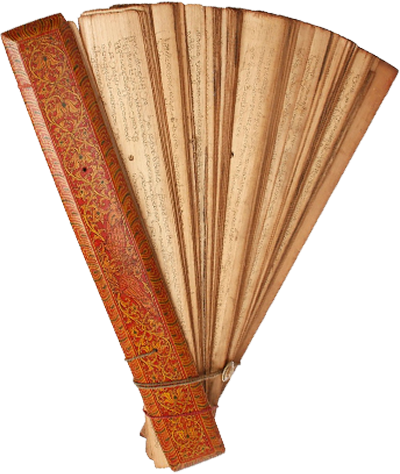 Palm Leaf